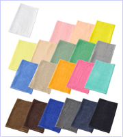 �Ɩ��p�X�������߃J���[�t�F�C�X�^�I��(240��j